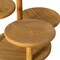 Multi Purpose 4-Tier Round Wooden Cake Stand and Charcuterie Boards – Perfect Tiered Tray Display for Desserts, Snacks, Fruits and Appetizers at Birthdays, Baby Showers, Weddings and Tea Party
